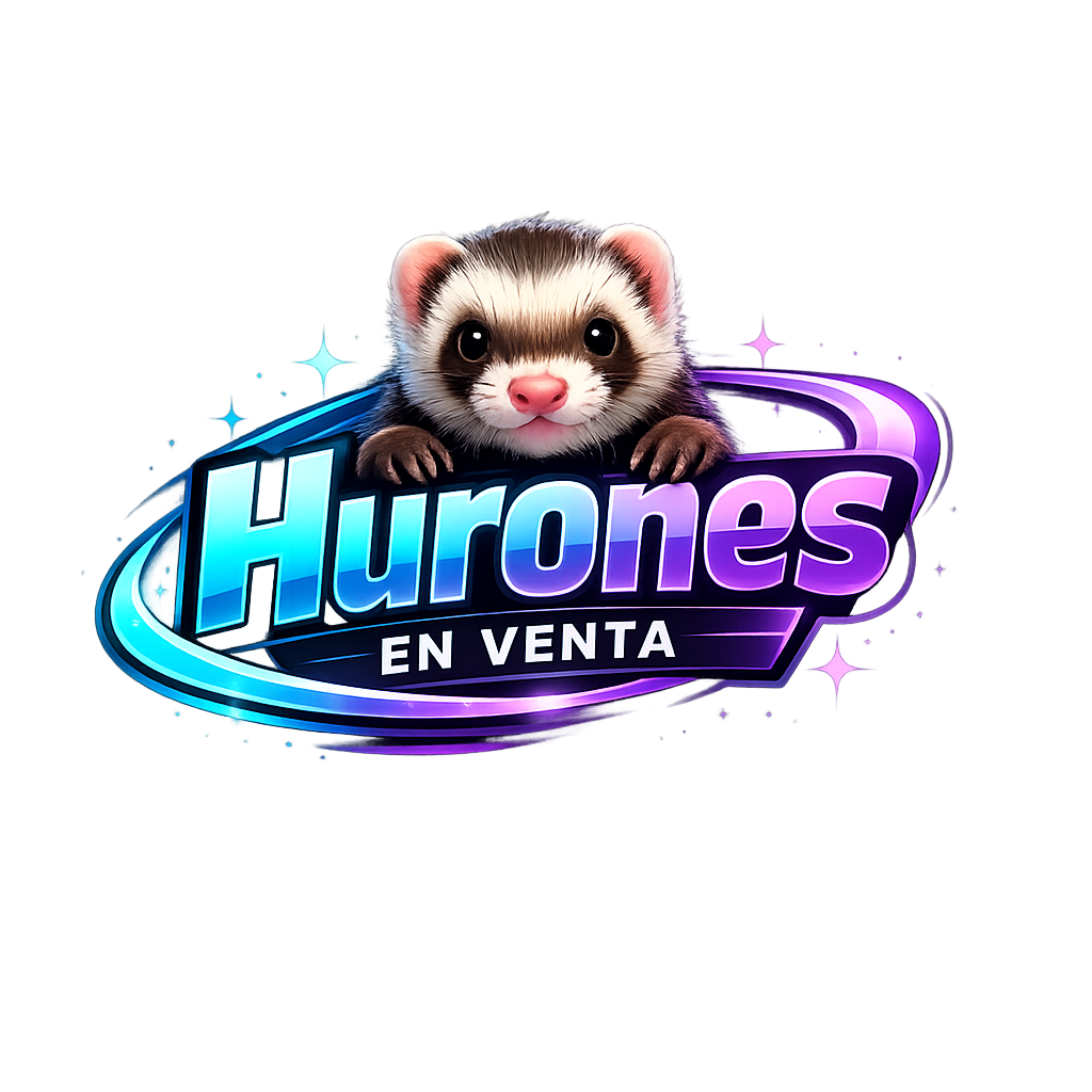 Hurones en Venta -Comprar Hurones